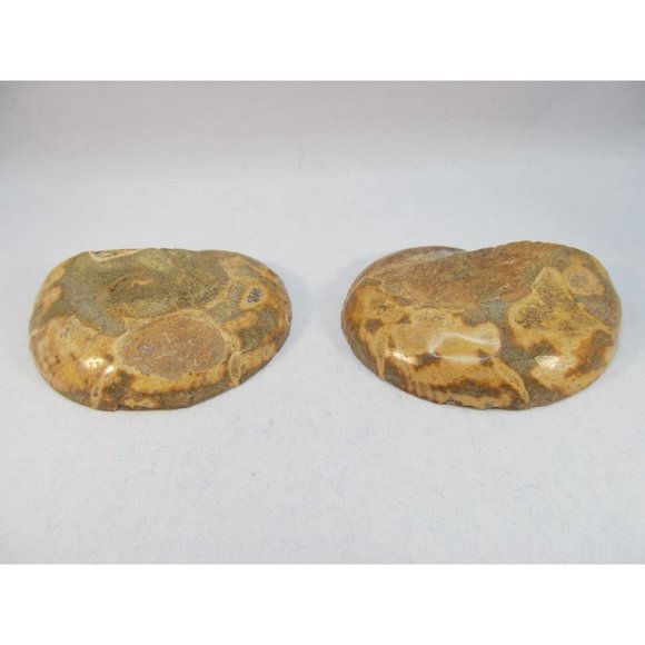 Cut Split Pair Polished Ammonite Fossil Crystal with Stands Small 3" x 2.5" - Picture 6 of 15